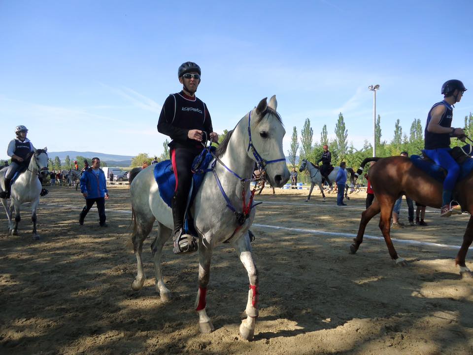 Paco Ayestar&aacute;n flamante vencedor del CEI* celebrado el 30 de mayo en A&ntilde;ezcar